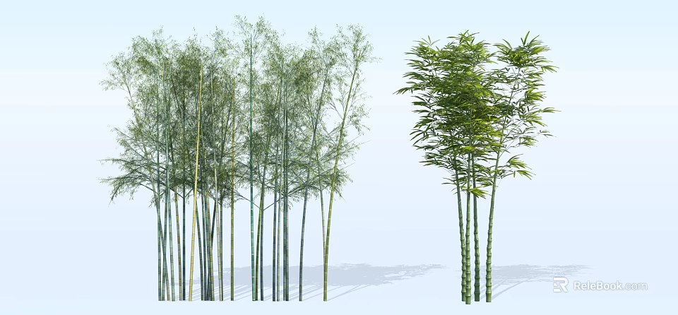 Beautiful Bamboo Grove with Tall Slender Stems and Lush Green Foliage 3d model 