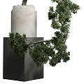 Artistic Bonsai Tree with Lush Green Foliage in Concrete Pot on Pedestal