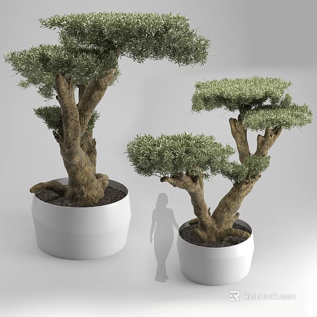 Decorative Bonsai Tree Ornament Set With White Ceramic Pots For Home Decor 3d model 