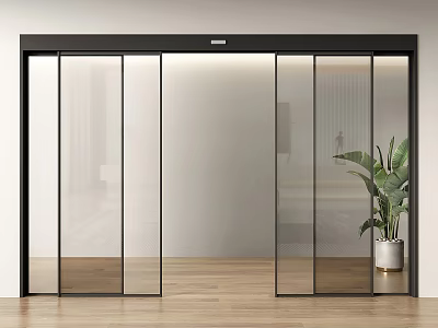 Modern Interior With Glass Sliding Doors And Black Frames Green Plant Wooden Floor 3d model