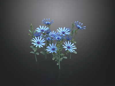 Blue Daisy Flowers With Green Leaves Clustered In Natural Garden Setting 3d model