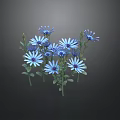 Blue Daisy Flowers With Green Leaves Clustered In Natural Garden Setting