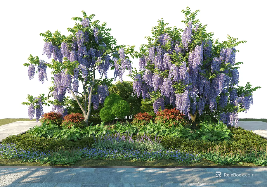 Wisteria Trees Blooming with Purple Flowers Surrounded by Green Shrubs and Stone Path 3d model 