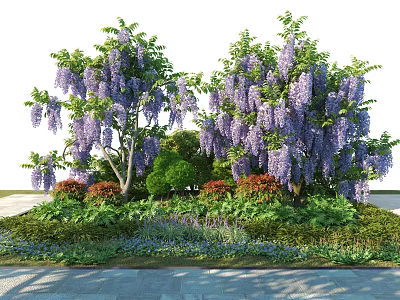 Wisteria Trees Blooming with Purple Flowers Surrounded by Green Shrubs and Stone Path 3d model