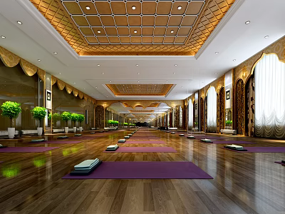 Elegant Spacious Yoga Studio With Wooden Floors Green Plants Mats White Curtains Golden Ceiling Decor 3d model