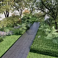Lush Garden With Colorful Flowers Ferns And Stone Path Surrounded By Trees
