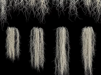 Hanging White Filamentous Decorative Ornament Set For Artistic Display Against Black Background 3d model