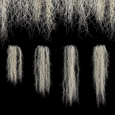 Hanging White Filamentous Decorative Ornament Set For Artistic Display Against Black Background 3d model
