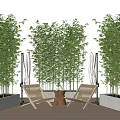 Tall Bamboo Plants In Outdoor Patio With Wooden Lounge Chairs And Concrete Planters