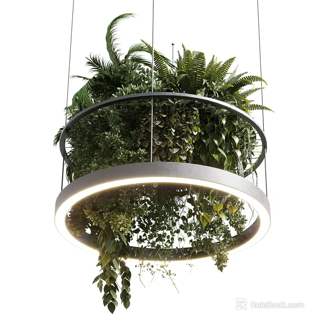 Illuminated Circular Chandelier Filled With Lush Green Ferns And Hanging Plants 3d model 
