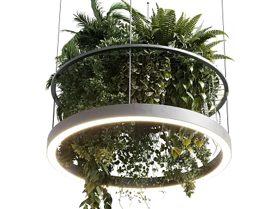 Illuminated Circular Chandelier Filled With Lush Green Ferns And Hanging Plants 3d model