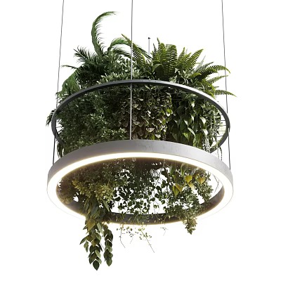 Illuminated Circular Chandelier Filled With Lush Green Ferns And Hanging Plants 3d model