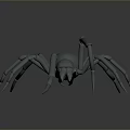 Realistic Gray Spider 3D Model With Detailed Legs And Smooth Surface