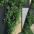 Modern Geometric Living Wall with Green Foliage Wooden Panels and Black Frames