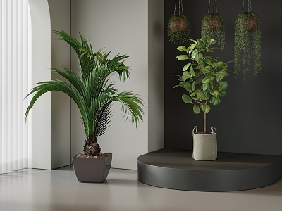 Modern potted plant 3d model