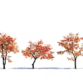 Autumn Themed Arbor Trees with Red and Orange Leaves Three in Row on White Background