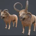 Three Goats with Curved Horns in Various Sizes and Colors Standing on Gray Background