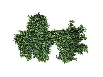 green plant vine 3d model