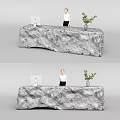 Modern Reception Desk with Marble Countertop Green Plant and Computer Monitor