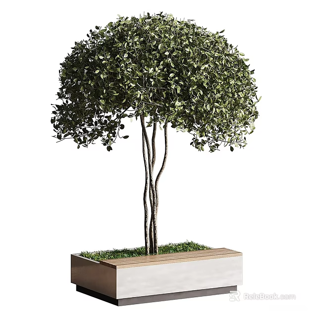 Outdoor Landscape Seating With Wooden Planter Lush Grass And Decorative Tree 3d model 