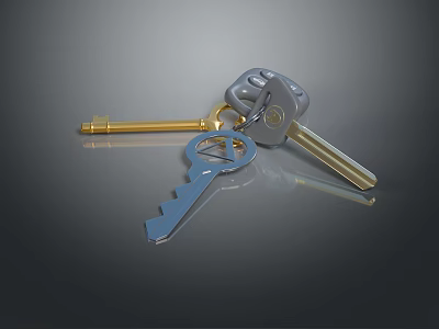 Metallic Keys With Different Shapes And Keychain On Reflective Surface 3d model