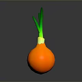 Fresh Ripe Orange Onion With Green Leafy Tops On Dark Surface