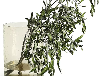 Clear Textured Glass Vase With Olive Branch Green Leaves And Olive Fruits For Home Decor 3d model