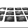 Garden Landscape Design Featuring Square Black and White Textured Prints of Natural Mountain Cloud Forms