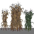 Three Bundles of Brown and Green Dried Fresh Plants Arranged on White Background