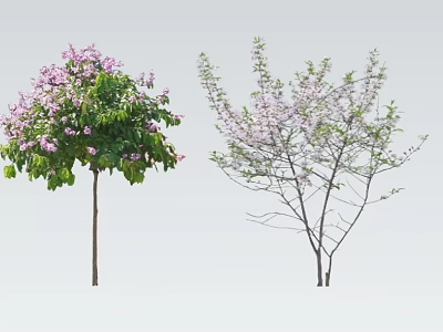 Flowering Arbor Trees With Purple And White Blossoms And Green Leaves 3d model
