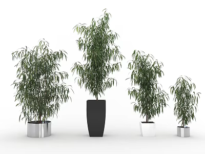 Modern Potted Plant 3d model