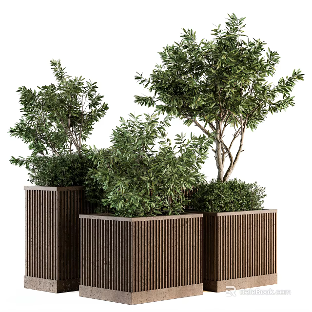 Bonsai Potted Plants In Wooden Square Planters With Vertical Slats And Lush Green Foliage 3d model 