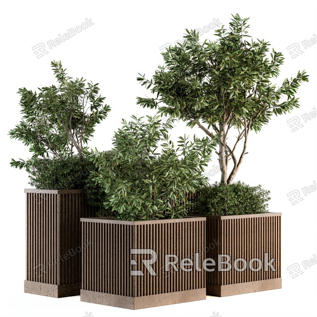 Bonsai Bonsai model