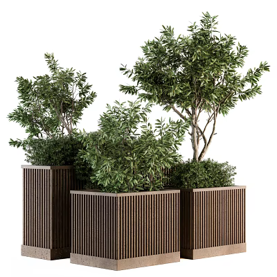 Bonsai Potted Plants In Wooden Square Planters With Vertical Slats And Lush Green Foliage 3d model