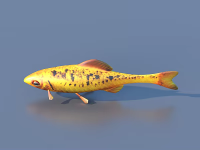 Fish Goldfish Freshwater Fish Sea Fish Animal Game Animals 3d model