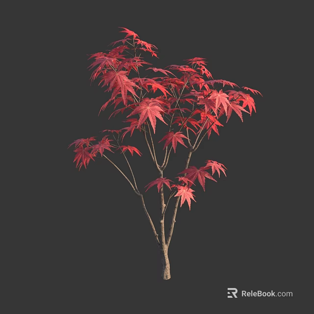 Vibrant Red Maple Tree With Lush Red Leaves Against Dark Background 3d model