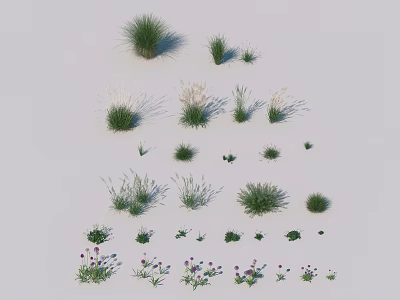 Diverse Grasses and Flowers in Various Heights Shapes and Natural Decorative Tones 3d model