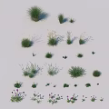 Diverse Grasses and Flowers in Various Heights Shapes and Natural Decorative Tones