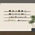 Tea Sets Display on Modern Wall Shelves with Various Teacups Teapots Trays and Potted Plant