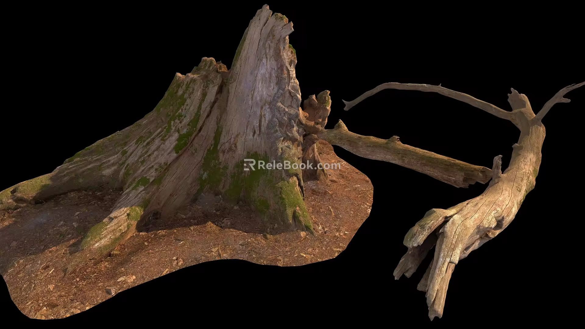 stump wood 3d model