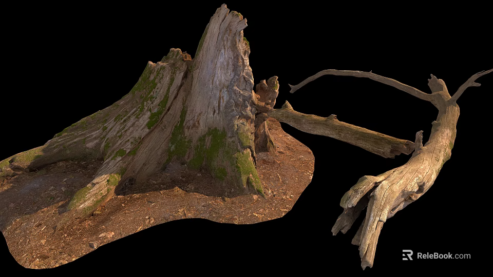 Natural Stone and Wood Scene Featuring Old Tree Stump with Green Moss and Dead Branches 3d model 