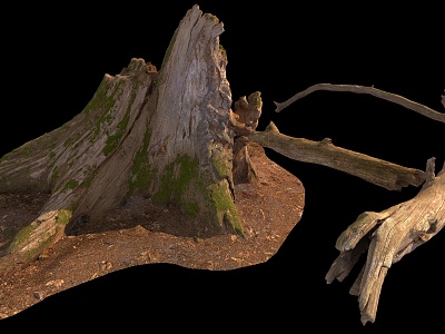 stump wood model