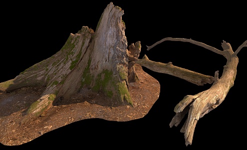 stump wood 3d model