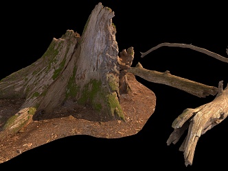 stump wood 3d model