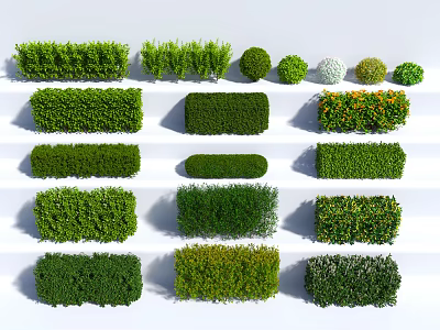 Lush Green Plant Combinations With Various Pruned Shapes For Garden Landscaping 3d model
