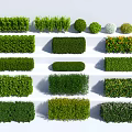 Lush Green Plant Combinations With Various Pruned Shapes For Garden Landscaping