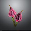 Two Pink Flower Like Plants With Layered Petals Green Stems And Yellow Tips