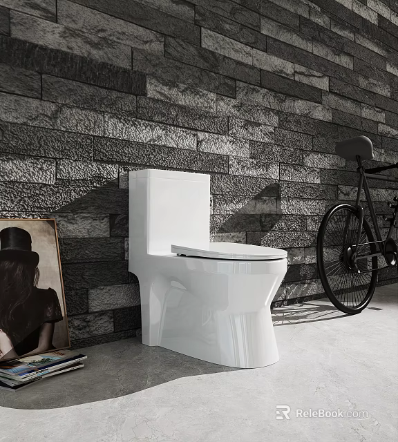 Modern Bathroom Interior Design With White Toilet Gray Stone Wall And Black Bicycle 3d model 
