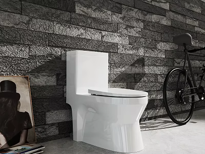 Modern Bathroom Interior Design With White Toilet Gray Stone Wall And Black Bicycle 3d model