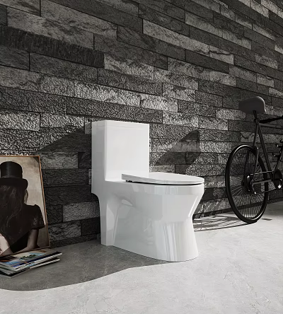 Modern Bathroom Interior Design With White Toilet Gray Stone Wall And Black Bicycle 3d model